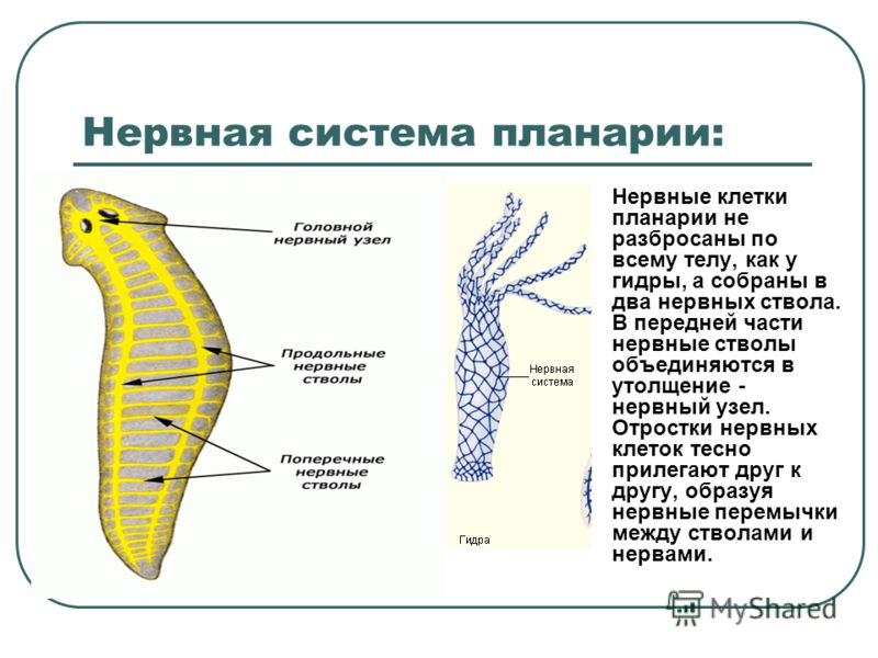 Кракен сайт 2krnk