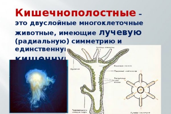 Как попасть на кракен